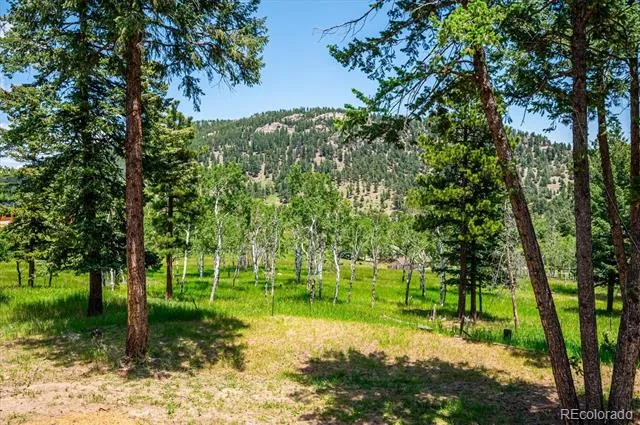 6528 Modoc Lane Evergreen, CO 80439