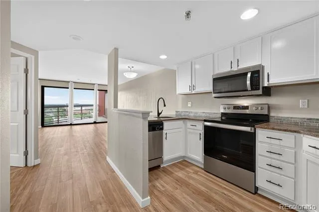 100 Park Avenue #1704 Denver, CO 80205