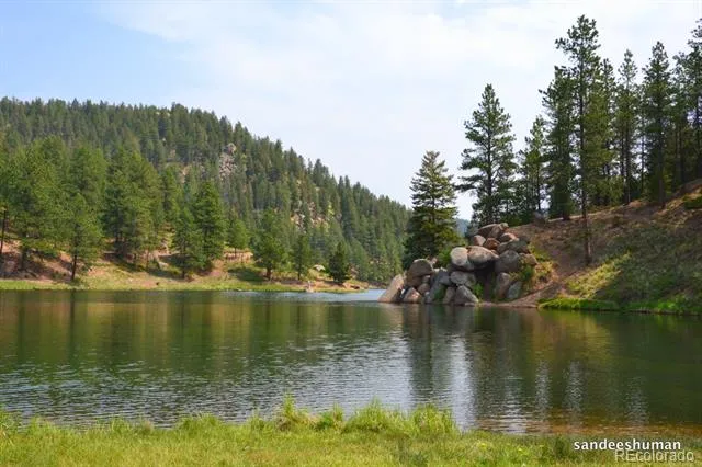 16335 Rustlers Range Point Monument, CO 80132