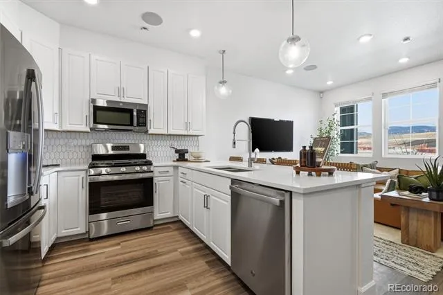 17203 W 91st Lane Arvada, CO 80007