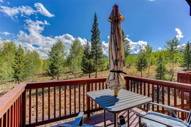 70 Black Diamond Trail #71B Silverthorne, CO 80498