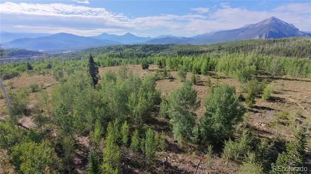 70 Black Diamond Trail #71B Silverthorne, CO 80498