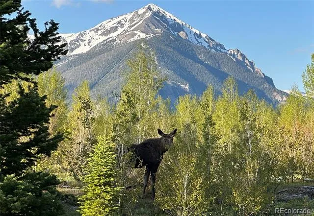 70 Black Diamond Trail #71B Silverthorne, CO 80498