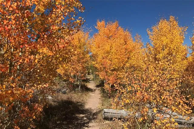 70 Black Diamond Trail #71B Silverthorne, CO 80498