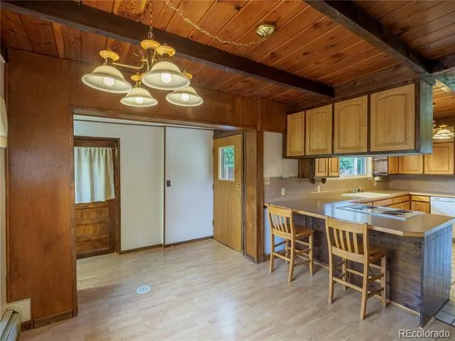 438 Crossman Avenue Buena Vista, CO 81211