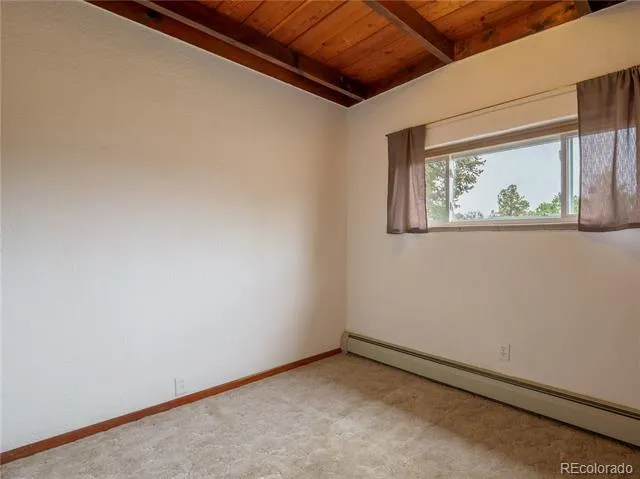 438 Crossman Avenue Buena Vista, CO 81211