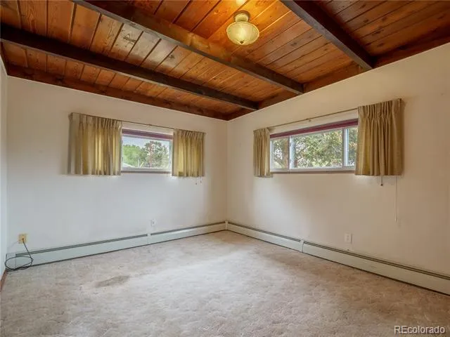 438 Crossman Avenue Buena Vista, CO 81211