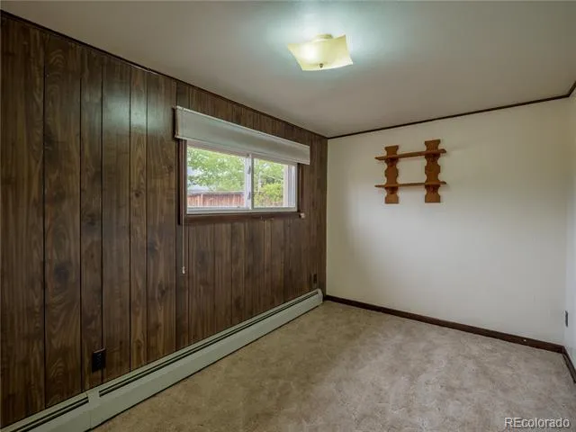 438 Crossman Avenue Buena Vista, CO 81211