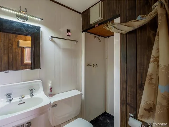 438 Crossman Avenue Buena Vista, CO 81211
