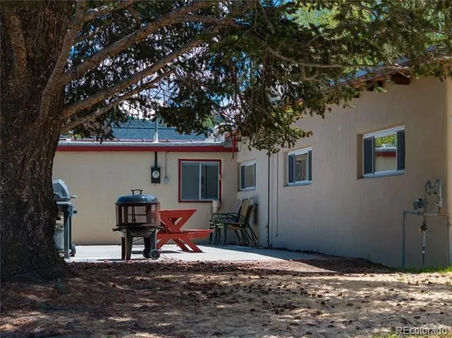 438 Crossman Avenue Buena Vista, CO 81211