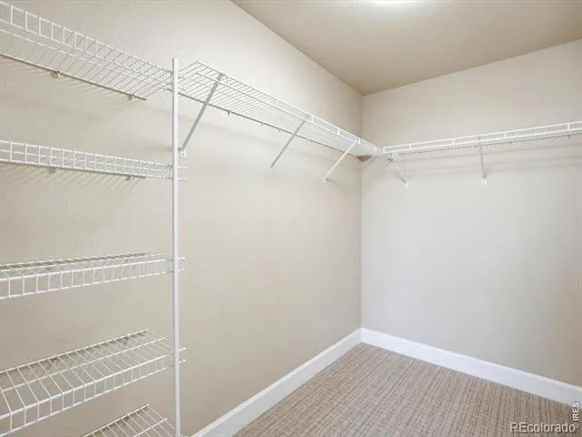4500 Baseline Road #4302 Boulder, CO 80303