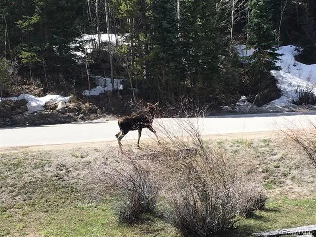 1513 E Keystone Road #21 Keystone, CO 80435