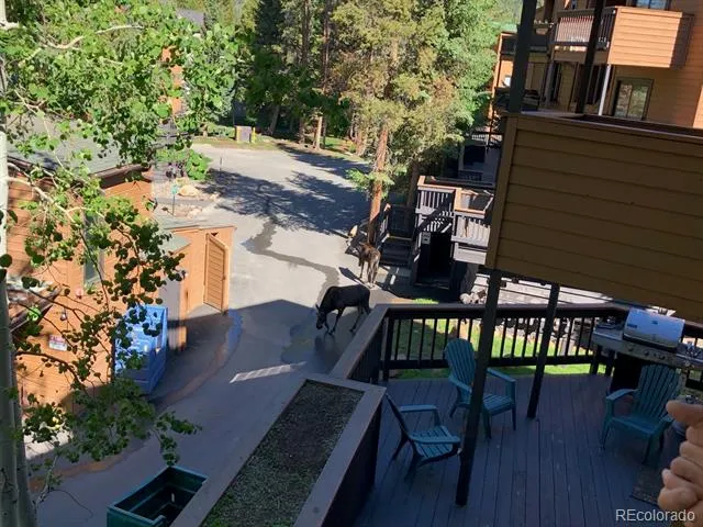 1513 E Keystone Road #21 Keystone, CO 80435