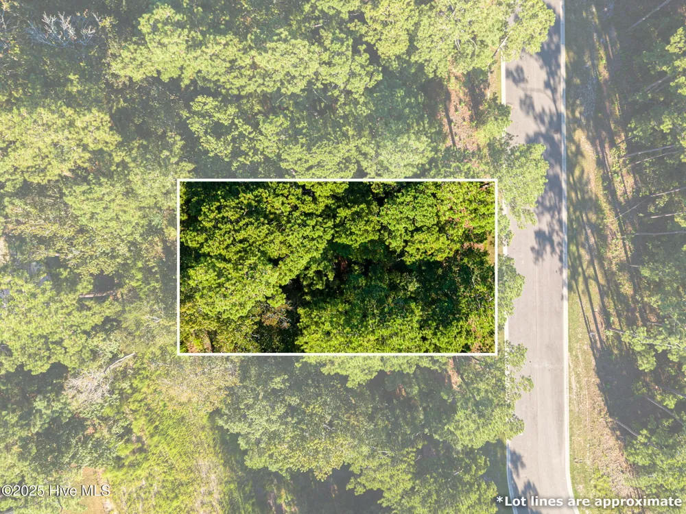 6092 Isla Mona Drive SW Shallotte, NC 28470