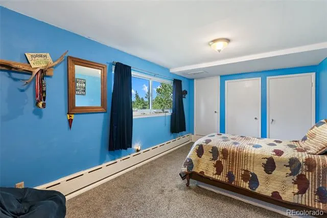 105 Piney Point Lane Woodland Park, CO 80863