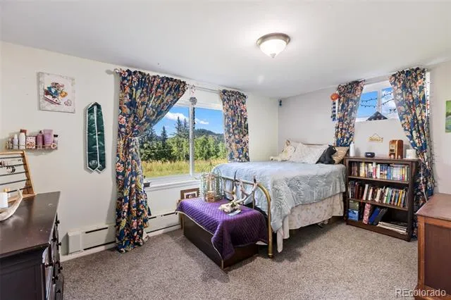 105 Piney Point Lane Woodland Park, CO 80863