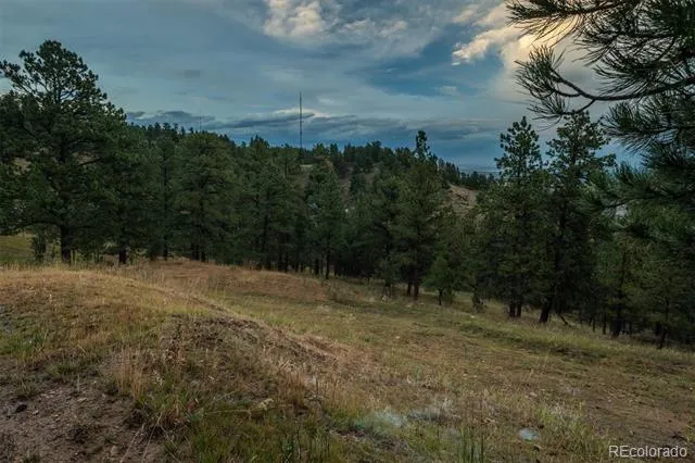298 Parkview Avenue Golden, CO 80401