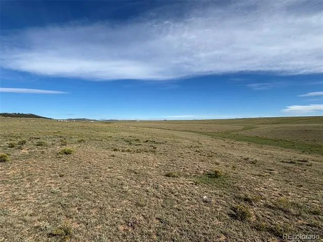 6561 Jackson Road Hartsel, CO 80449