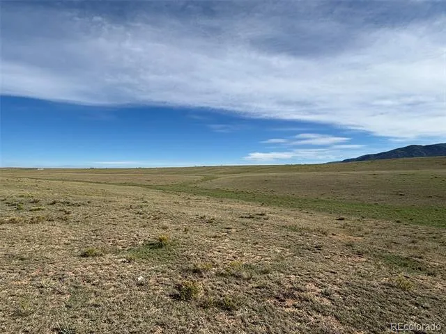 6561 Jackson Road Hartsel, CO 80449