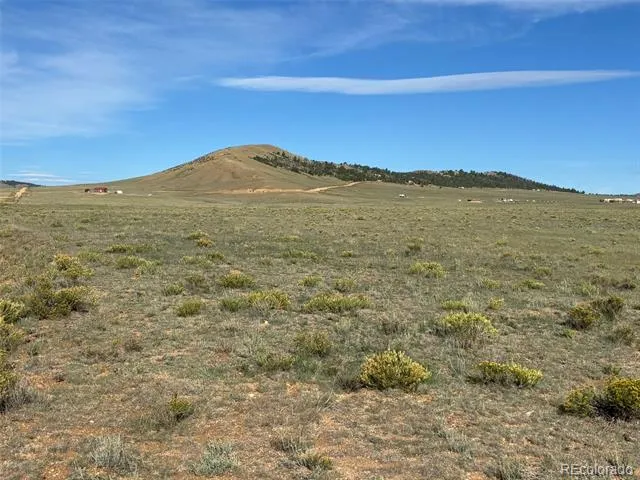 6561 Jackson Road Hartsel, CO 80449