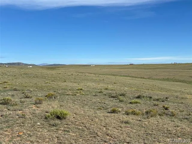 6561 Jackson Road Hartsel, CO 80449
