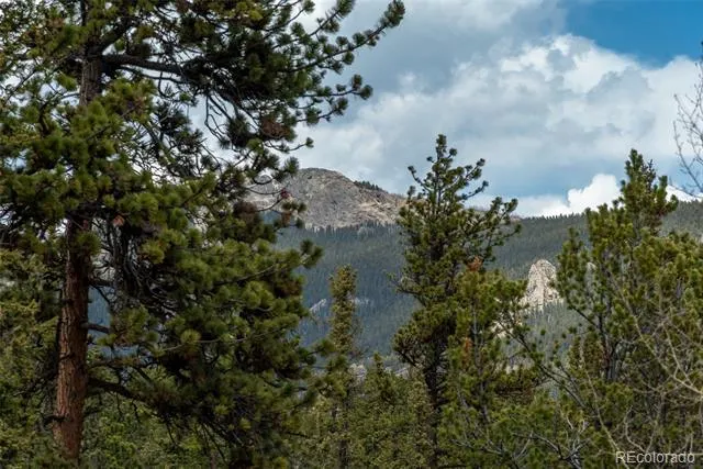 75 York Court #11 Jefferson, CO 80456