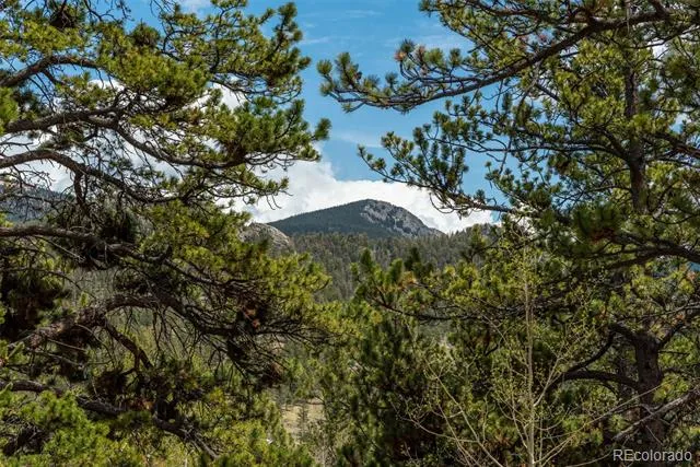 75 York Court #11 Jefferson, CO 80456