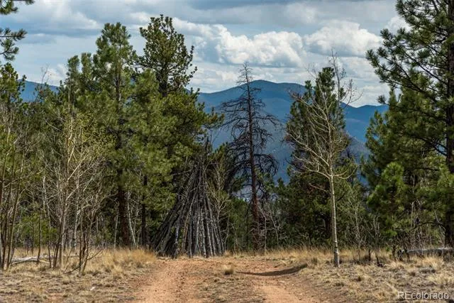 75 York Court #11 Jefferson, CO 80456