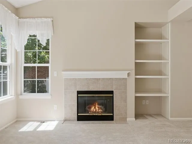 9805 Carmel Court Lone Tree, CO 80124