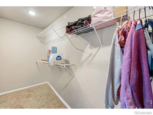 1512 Lake Vista Way Severance, CO 80550