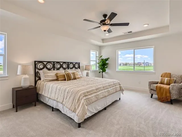 1203 S Algonquian Street Aurora, CO 80018