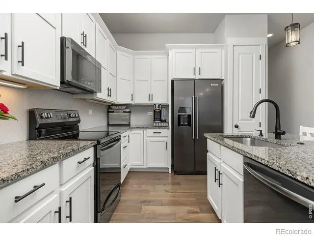 6241 Vernazza Way #1 Windsor, CO 80550