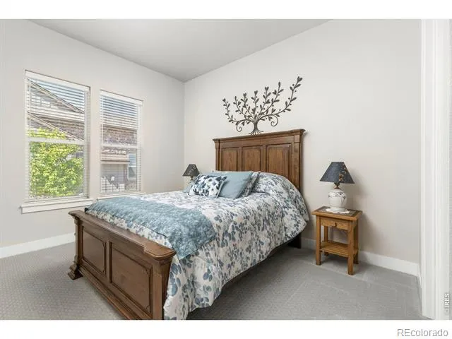 6241 Vernazza Way #1 Windsor, CO 80550