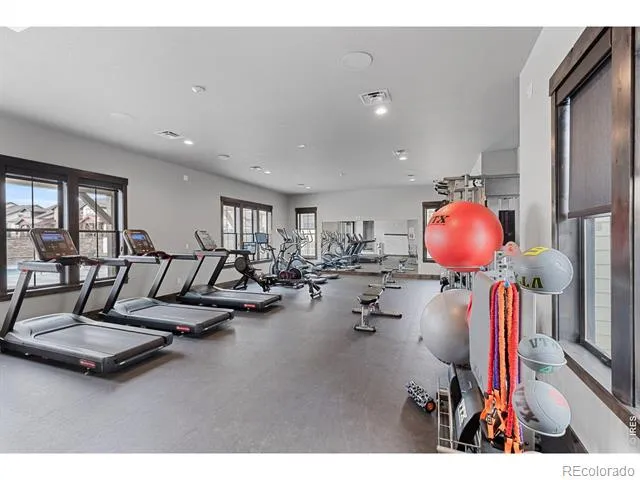 6241 Vernazza Way #1 Windsor, CO 80550