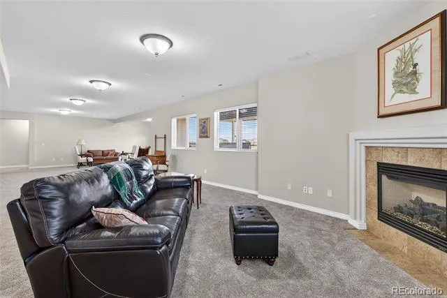 10862 Torreys Peak Way Peyton, CO 80831