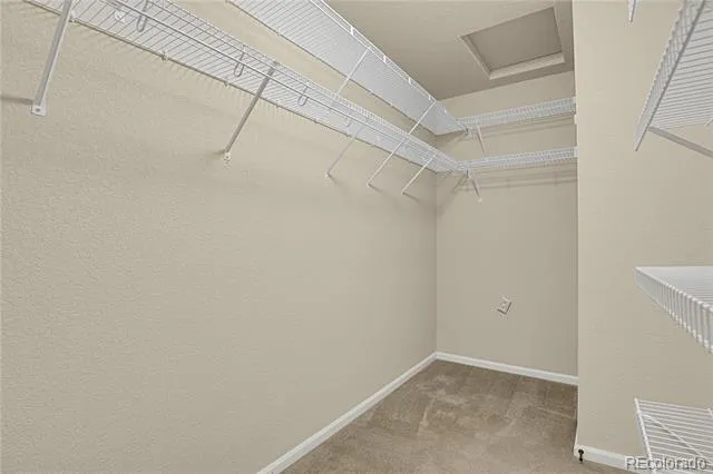 6651 Big Leaf Lane Colorado Springs, CO 80927