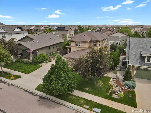 6651 Big Leaf Lane Colorado Springs, CO 80927