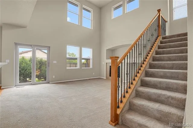 6651 Big Leaf Lane Colorado Springs, CO 80927