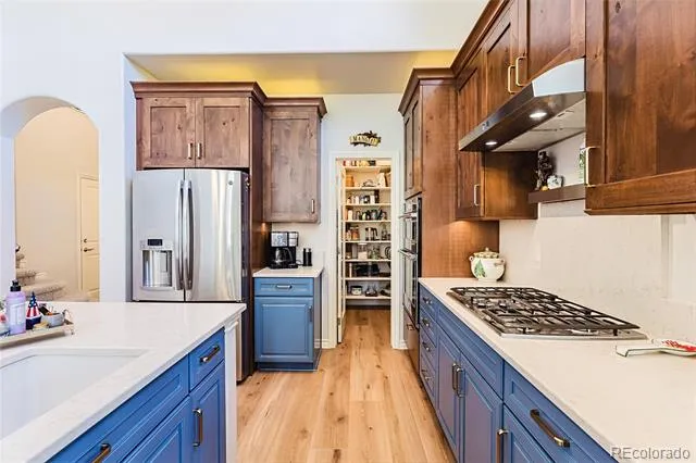9216 Viaggio Way Highlands Ranch, CO 80126