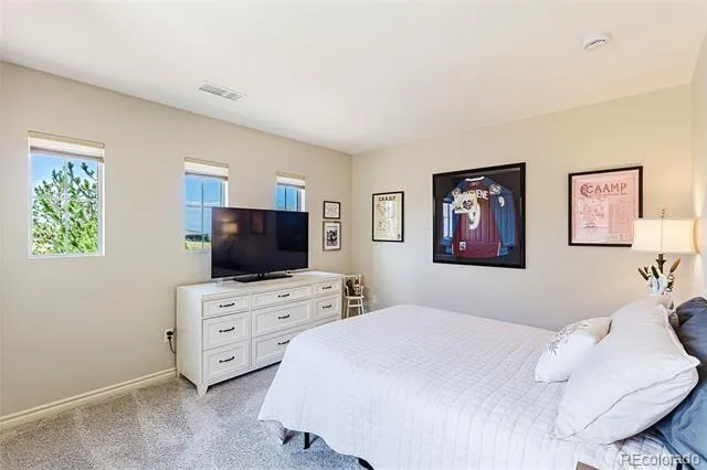 9216 Viaggio Way Highlands Ranch, CO 80126