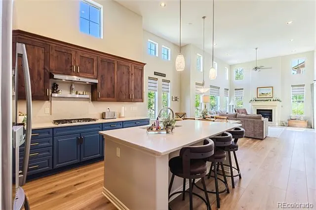 9216 Viaggio Way Highlands Ranch, CO 80126