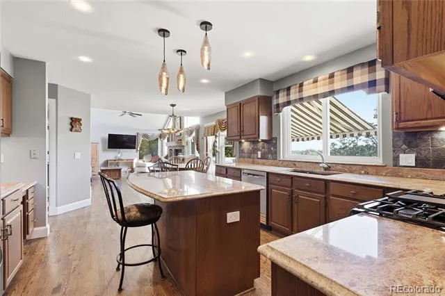 9748 S Ashleigh Lane Highlands Ranch, CO 80126