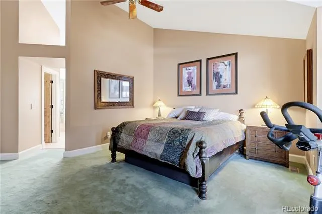 9748 S Ashleigh Lane Highlands Ranch, CO 80126