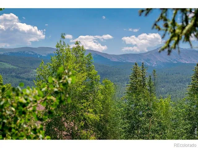 139 Forest Trail Winter Park, CO 80482