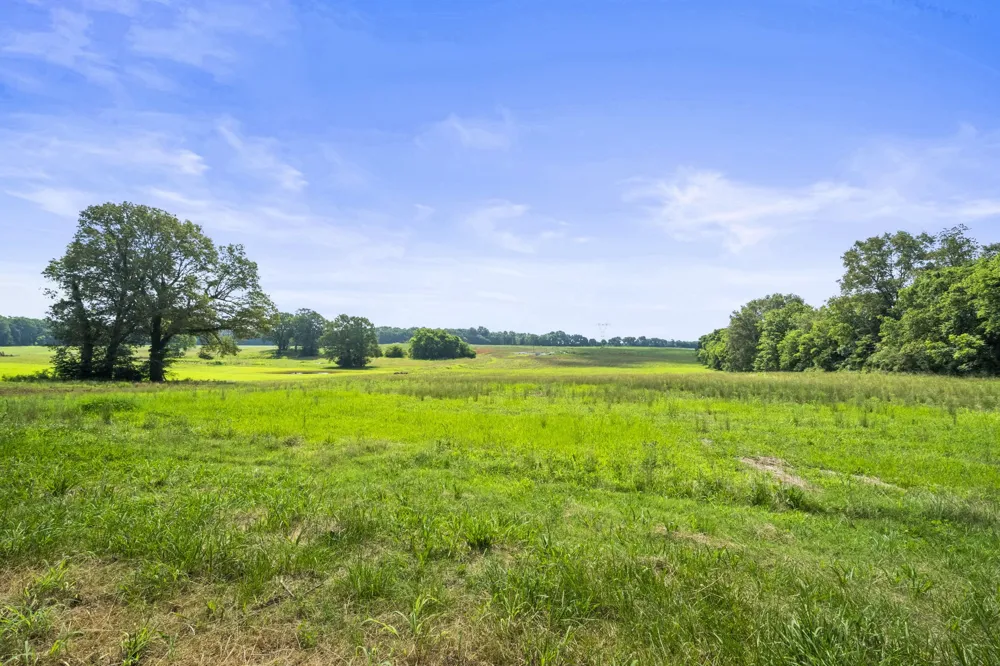 4635 Highway 431N Springfield, TN 37172