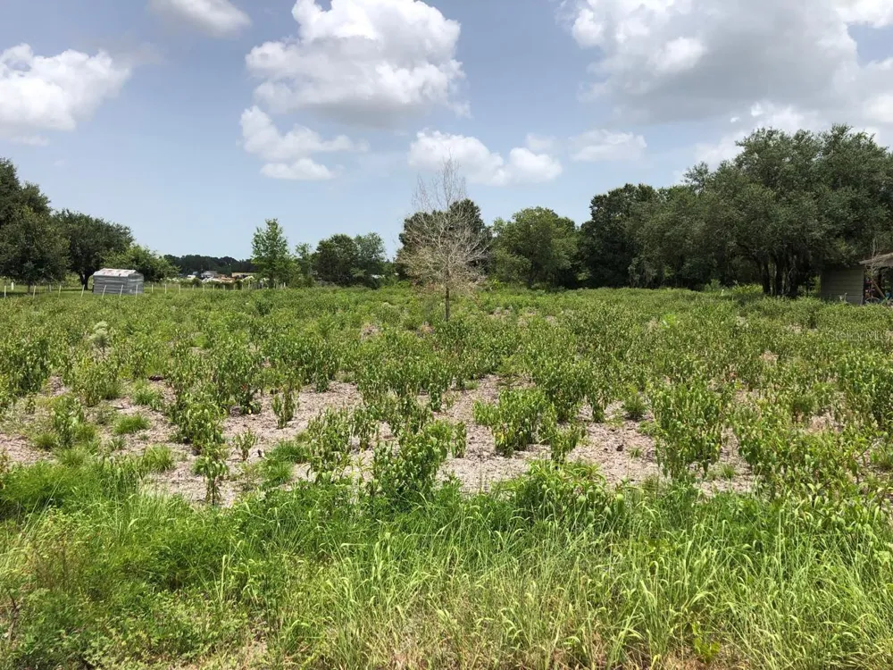 DUCK KEY STREET Lake Wales, FL 33859