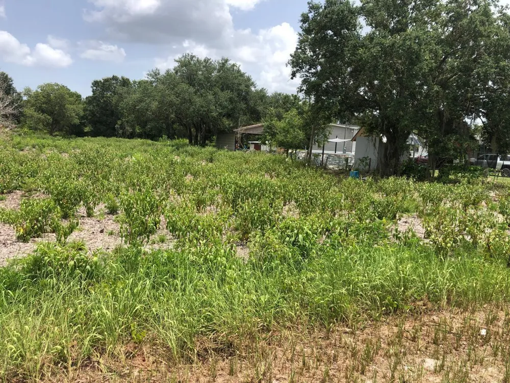 DUCK KEY STREET Lake Wales, FL 33859