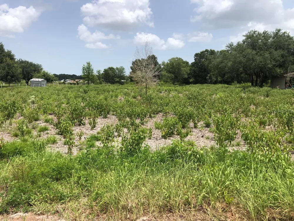 DUCK KEY STREET Lake Wales, FL 33859