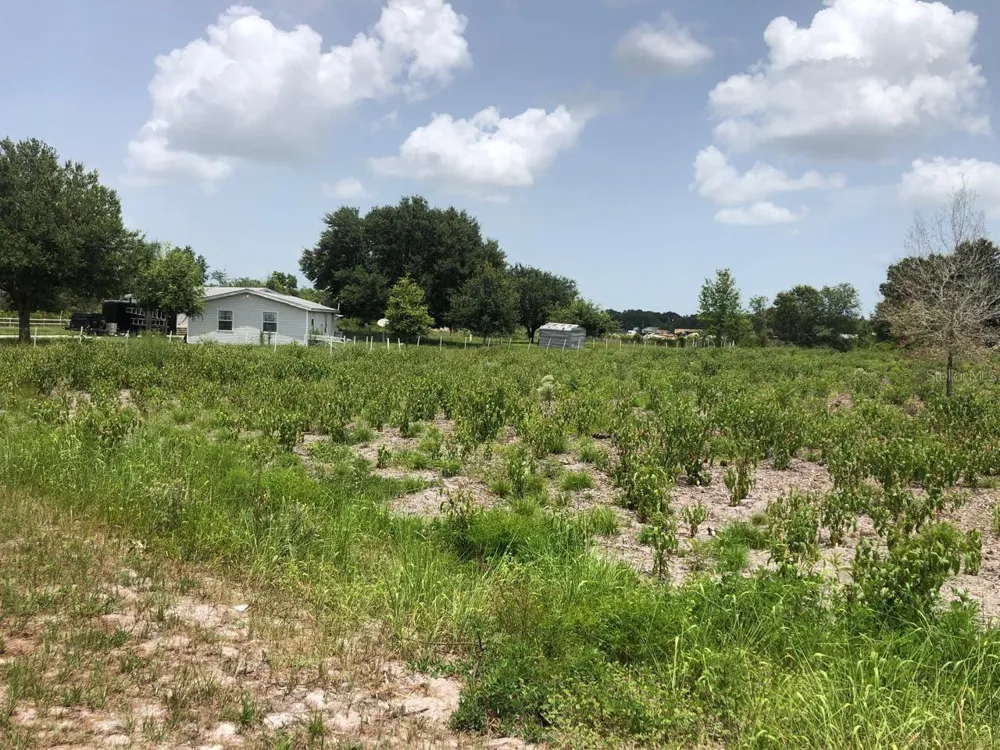 DUCK KEY STREET Lake Wales, FL 33859