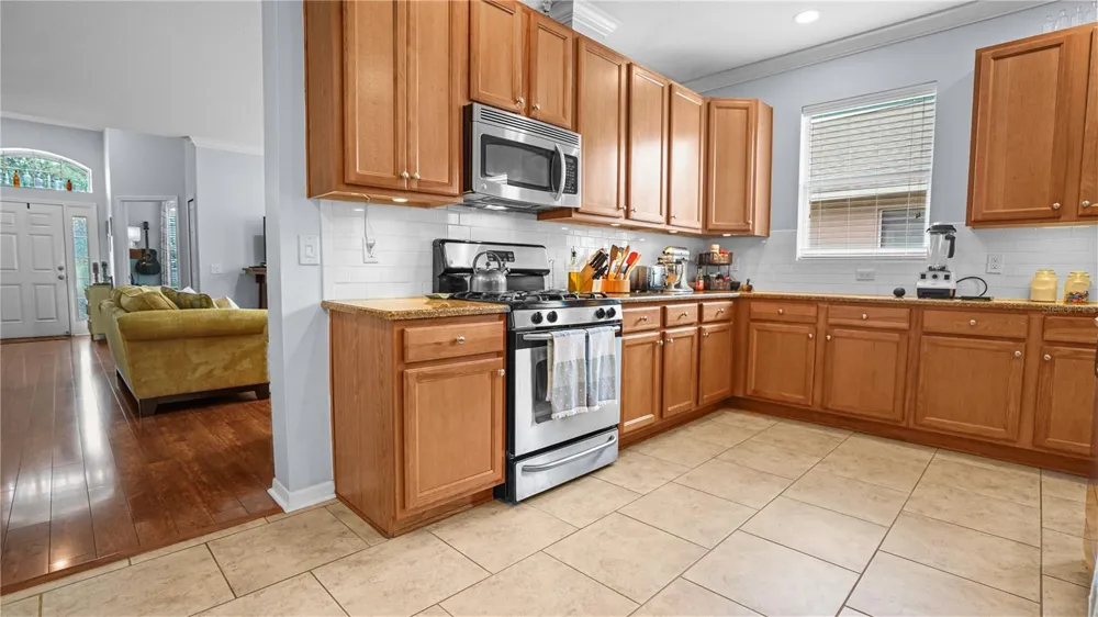 19420 SUNSET BAY DRIVE Land O Lakes, FL 34638